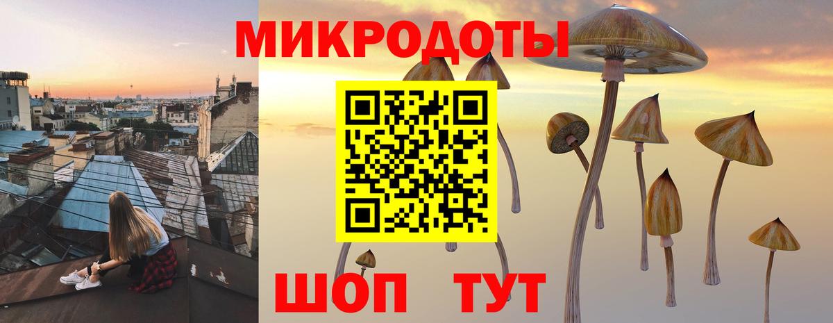Галлюциногенные грибы MAGIC MUSHROOMS  Галлюциногенные грибы Psilocybine cubensis  Вход с VPN  Абакан 